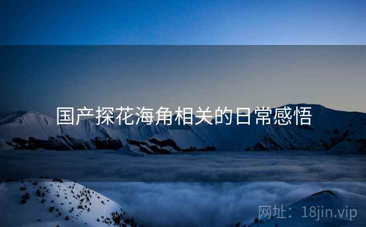 国产探花海角相关的日常感悟