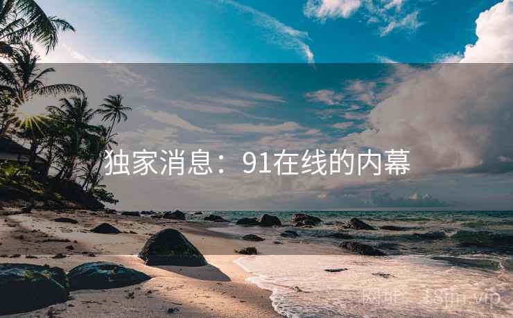 独家消息:91在线的内幕