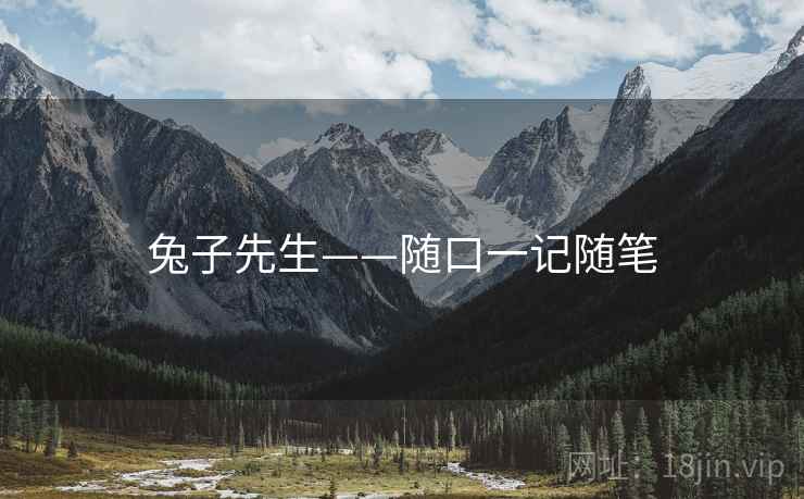 兔子先生——随口一记随笔