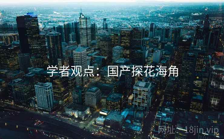 学者观点:国产探花海角