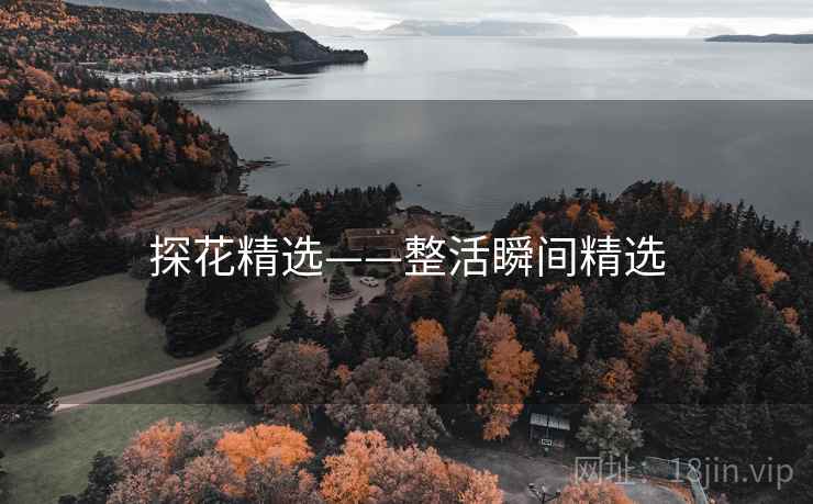 探花精选——整活瞬间精选