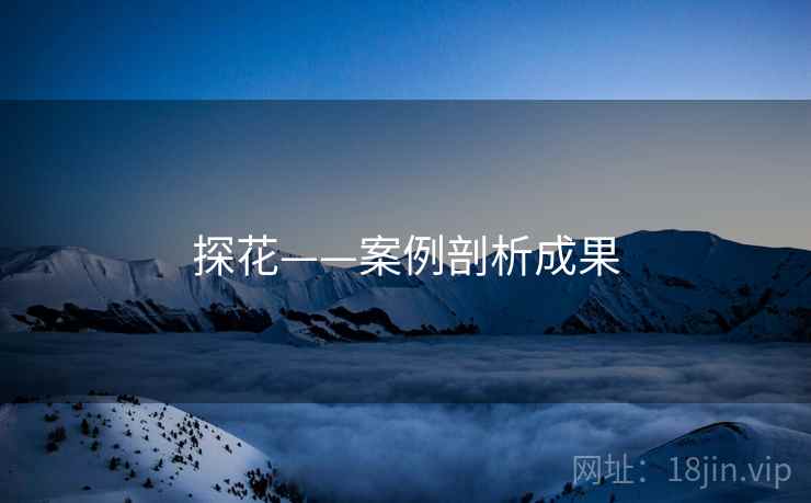 探花——案例剖析成果