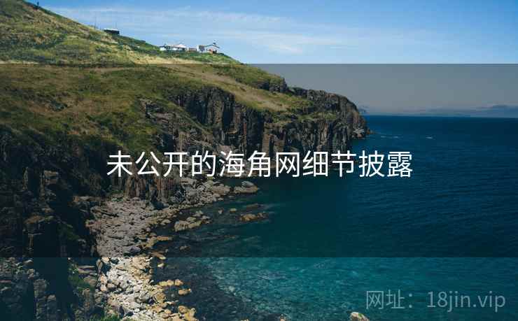 未公开的海角网细节披露