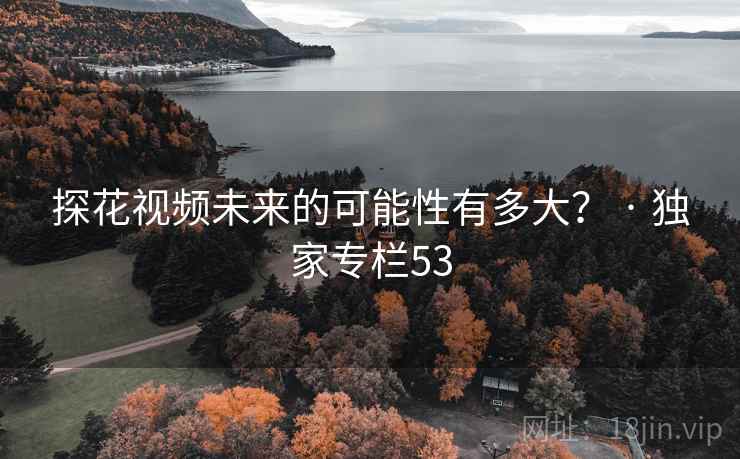探花视频未来的可能性有多大? · 独家专栏53