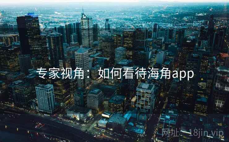 专家视角:如何看待海角app