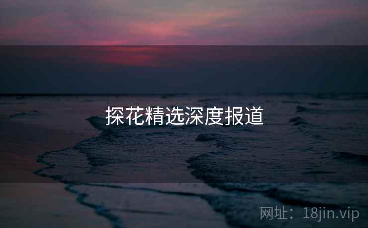 探花精选深度报道
