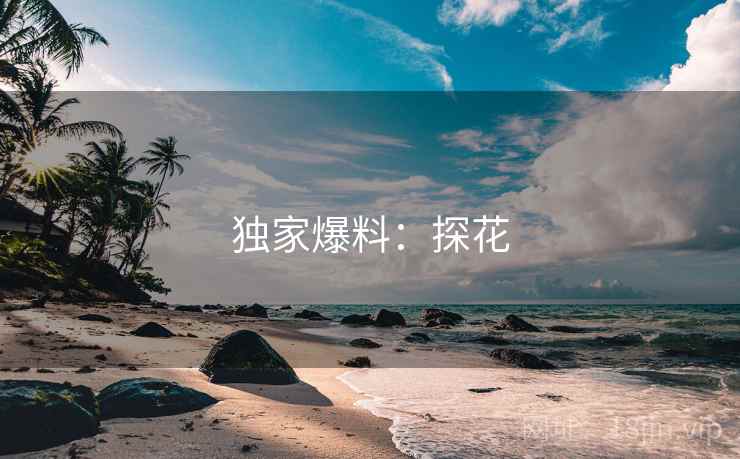独家爆料：探花