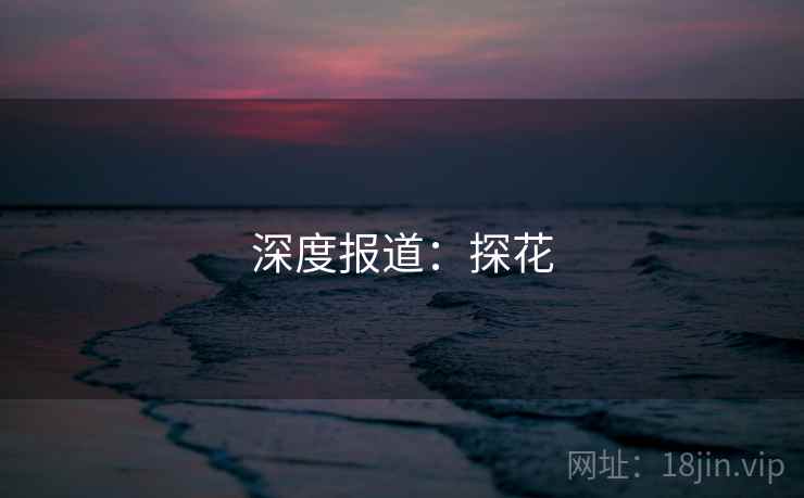 深度报道:探花