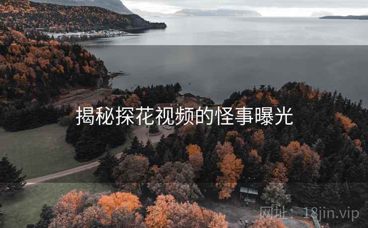 揭秘探花视频的怪事曝光