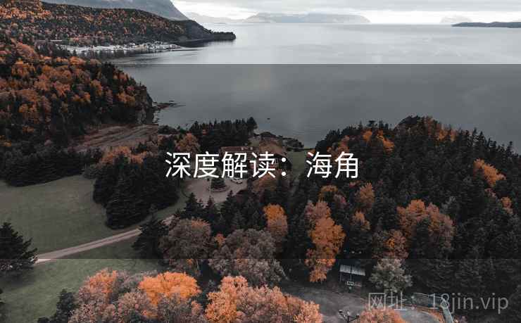 详细阅读:深度解读:海角 深度解读:海角