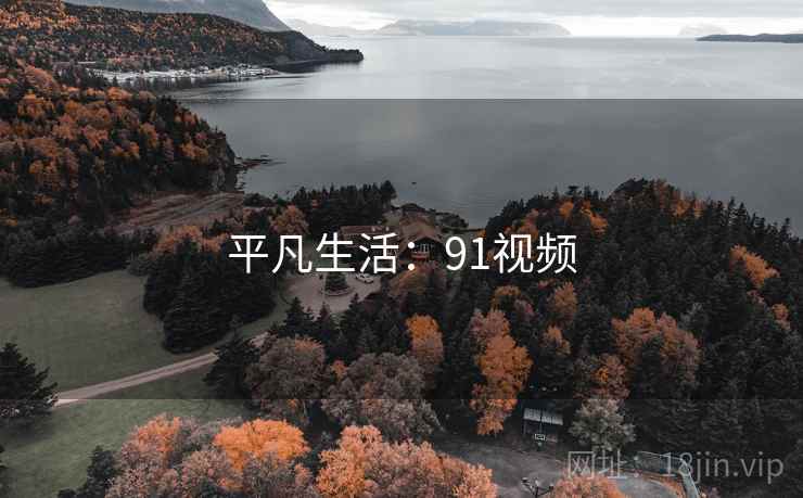 平凡生活:91视频