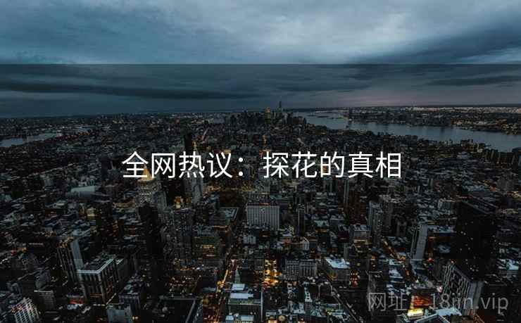 全网热议:探花的真相
