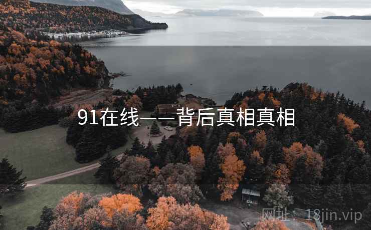 91在线——背后真相真相