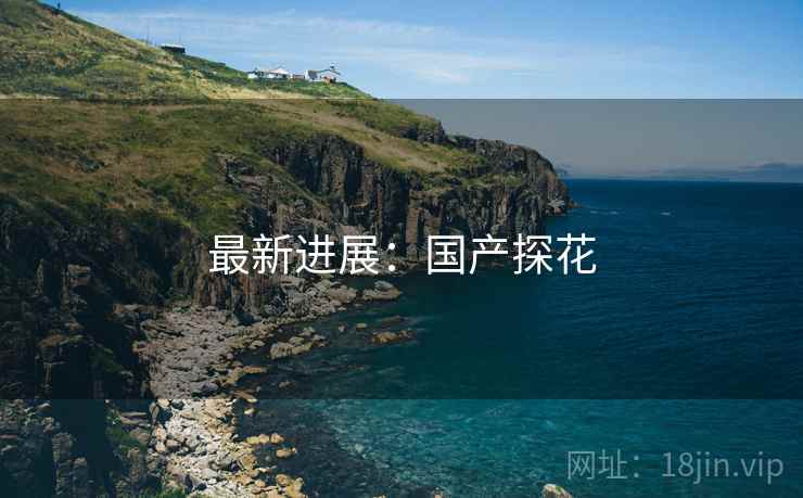 最新进展:国产探花